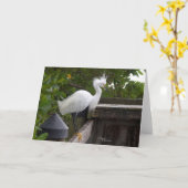 Sierlijke witte zilvervogel Note Cards Kaart (Gele Bloem)