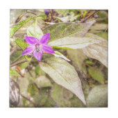 sierpannen tegeltje (Voorkant)