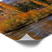 Sierra Autumn Poster (Hoek)