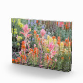 Sierra Buttermilk Wildbloemen Fotoblokken (Rechts)