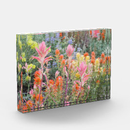 Sierra Buttermilk Wildbloemen Fotoblokken