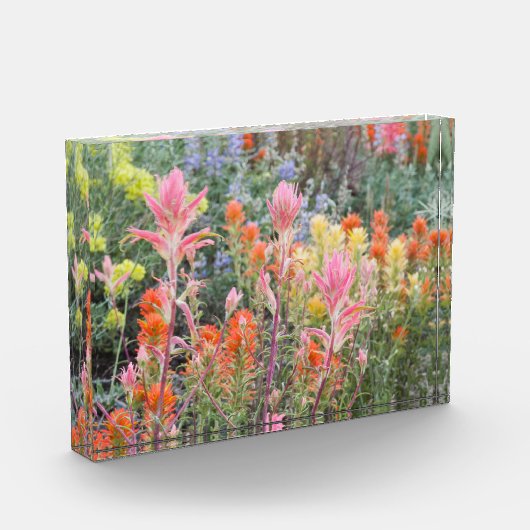 Sierra Buttermilk Wildbloemen Fotoblokken (Links)