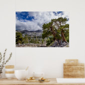 Sierra-jeneverbes en groenblijvende bomen poster (Keuken)
