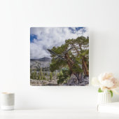 Sierra Juniper and Evergreen Trees Vierkante Klok (Huis)