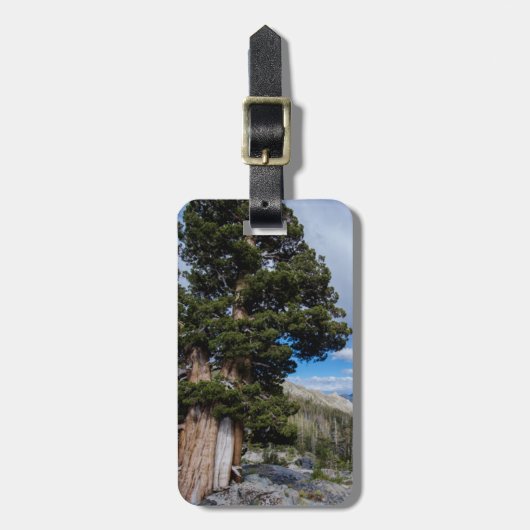 Sierra Juniper en altijdgroene bomen 2 Bagagelabel (Voorkant verticaal)