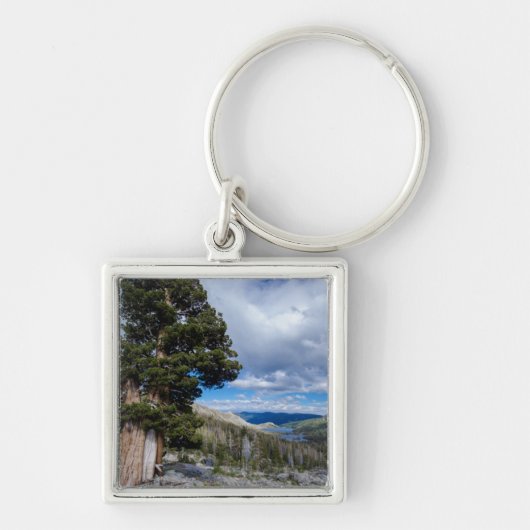Sierra Juniper en Groene Bomen 2 Sleutelhanger (Voorkant)