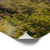 Sierra Mountain Valley Perfect Poster (Hoek)