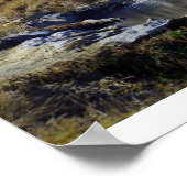 Sierra Mountains, Californië Poster (Hoek)