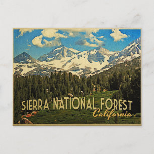 Sierra National Forest California Briefkaart