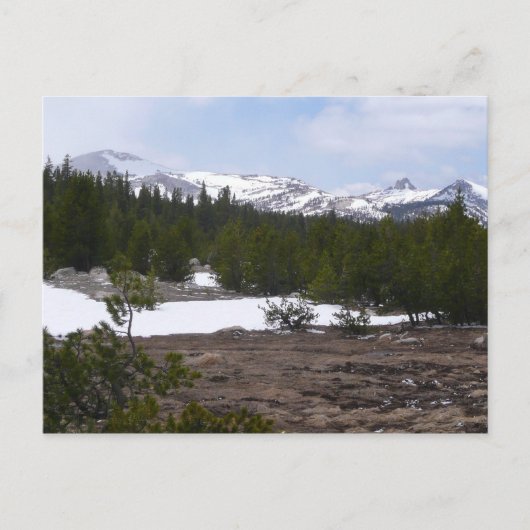 Sierra Nevada bergen en sneeuw op Yosemite Briefkaart (Voorkant)