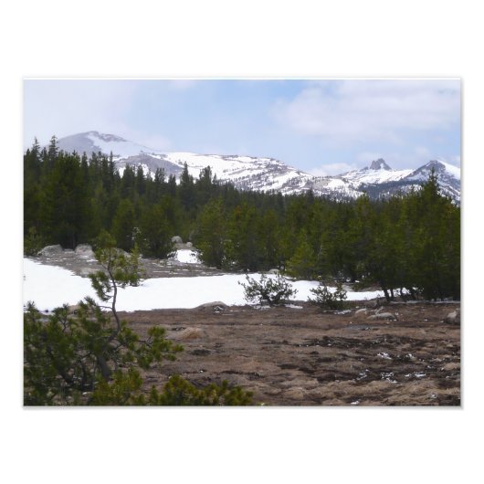 Sierra Nevada bergen en sneeuw op Yosemite Foto Afdruk (Voorkant)