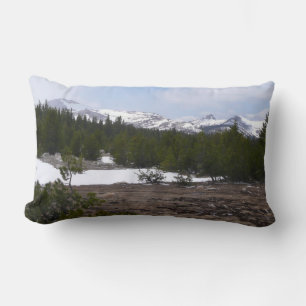 Sierra Nevada bergen en sneeuw op Yosemite Kussen