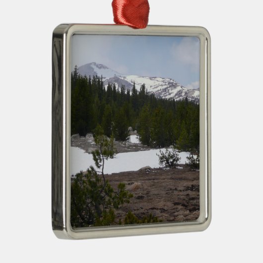 Sierra Nevada bergen en sneeuw op Yosemite Metalen Ornament (Rechts)
