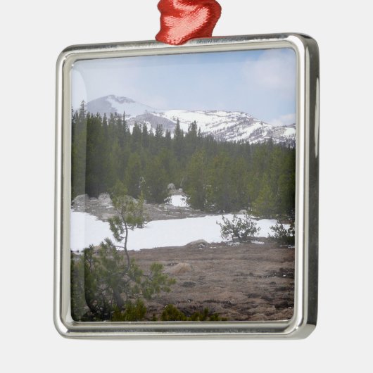 Sierra Nevada bergen en sneeuw op Yosemite Metalen Ornament (Links)