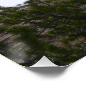 Sierra Nevada bergen en sneeuw op Yosemite Poster (Hoek)