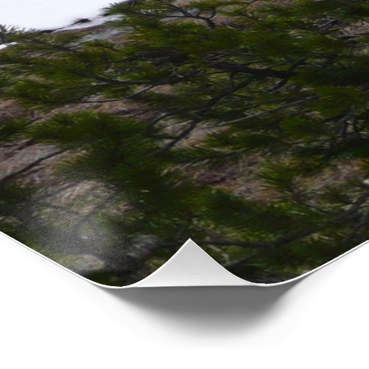 Sierra Nevada bergen en sneeuw op Yosemite Poster (Hoek)