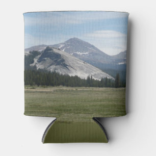 Sierra Nevada bergen III Nationaal Park Yosemite Blikjeskoeler