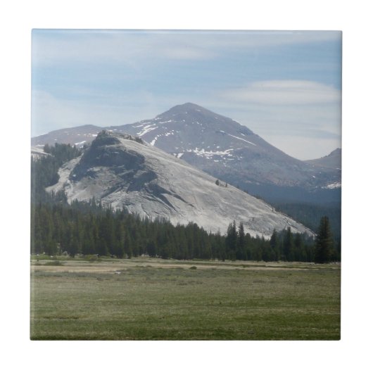 Sierra Nevada bergen III Nationaal Park Yosemite Tegeltje (Voorkant)