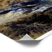 Sierra Nevada, Californie, Etats-Unis Poster (Hoek)