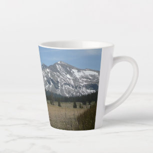 Sierra Nevada-gebergte I vanuit Yosemite Latte Mok