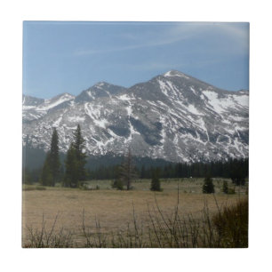 Sierra Nevada-gebergte I vanuit Yosemite Tegeltje