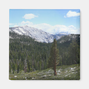 Sierra Nevada-gebergte II vanuit Yosemite Magneet