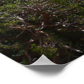 Sierra Nevada-gebergte II vanuit Yosemite Poster (Hoek)