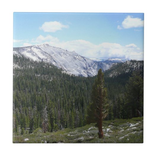 Sierra Nevada-gebergte II vanuit Yosemite Tegeltje (Voorkant)
