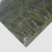 Sierra Nevada-gebergte II vanuit Yosemite Tissuepapier (Detail)
