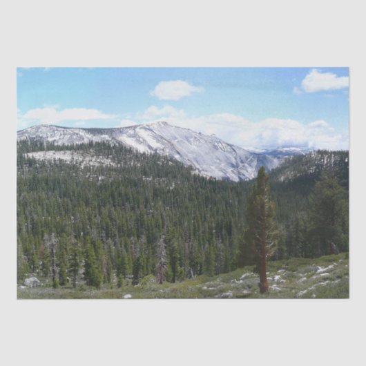 Sierra Nevada-gebergte II vanuit Yosemite Tissuepapier (Voorkant)