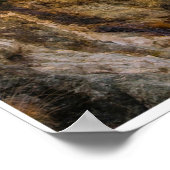 Sierra Nevada Mountain Road – Eastern Sierra Print (Hoek)