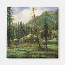 Sierra Nevada Mountains (Amerikaans bos)