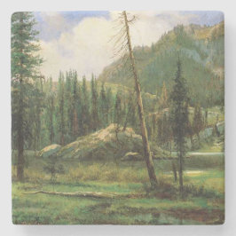 Sierra Nevada Mountains (Amerikaans bos) Stenen Onderzetter