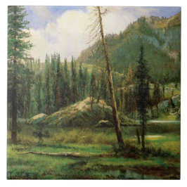 Sierra Nevada Mountains (Amerikaans bos) Tegeltje