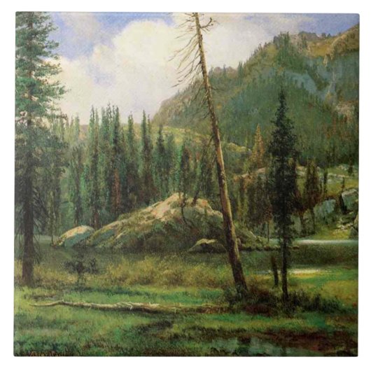 Sierra Nevada Mountains (Amerikaans bos) Tegeltje (Voorkant)