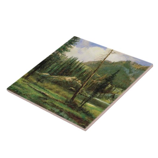 Sierra Nevada Mountains (Amerikaans bos) Tegeltje (Zijkant)