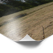 Sierra Nevada Mountains I uit Yosemite Foto Afdruk (Hoek)