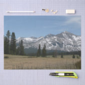 Sierra Nevada Mountains I uit Yosemite Tissuepapier (Craft)