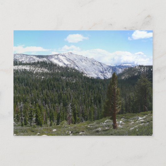 Sierra Nevada Mountains II uit Yosemite Briefkaart (Voorkant)