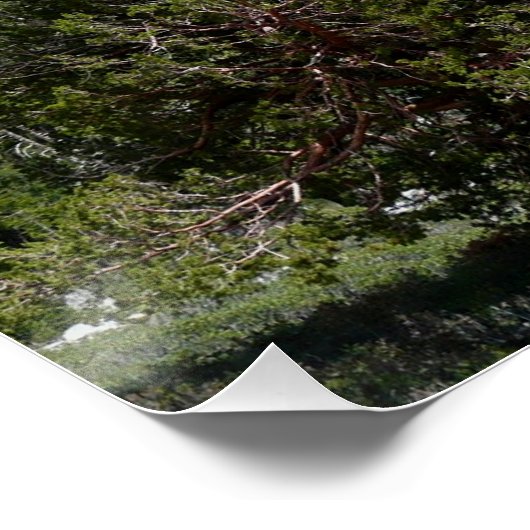 Sierra Nevada Mountains II uit Yosemite Perfect Poster (Hoek)