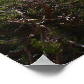 Sierra Nevada Mountains II uit Yosemite Poster (Hoek)