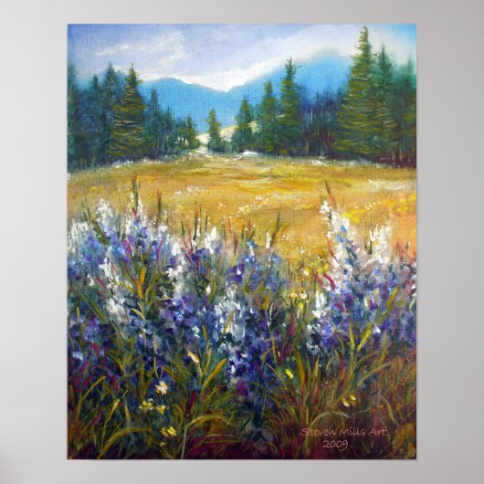 Sierra Nevada Poster (Voorkant)