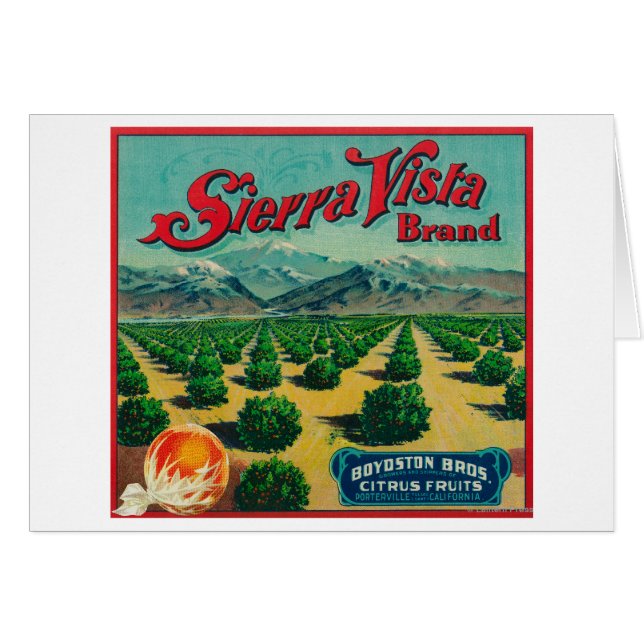 Sierra Vista - Kentekenmerk Citrus (Voorkant Horizontaal)