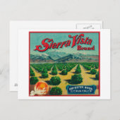 Sierra Vista - Kentekenmerk Citrus Briefkaart (Voorkant / Achterkant)