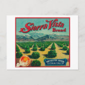 Sierra Vista - Kentekenmerk Citrus Briefkaart (Voorkant)