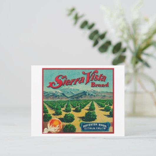Sierra Vista - Kentekenmerk Citrus Briefkaart (Staand voorkant)