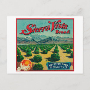 Sierra Vista - Kentekenmerk Citrus Briefkaart