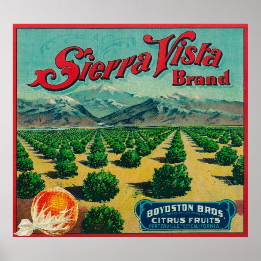 Sierra Vista - Kentekenmerk Citrus Poster (Voorkant)
