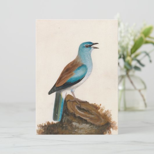 sierrol | William Lewin (Staand voorkant)