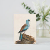 sierrol | William Lewin Briefkaart (Staand voorkant)